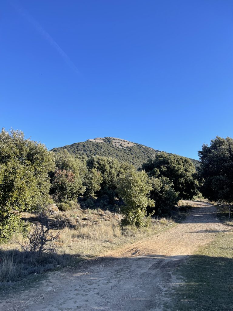 Qui suis-je ? le pic des Courmettes, Tourrettes-sur-loup